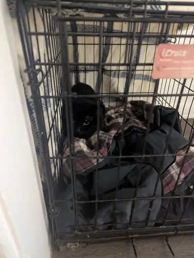 New home immediately., View more