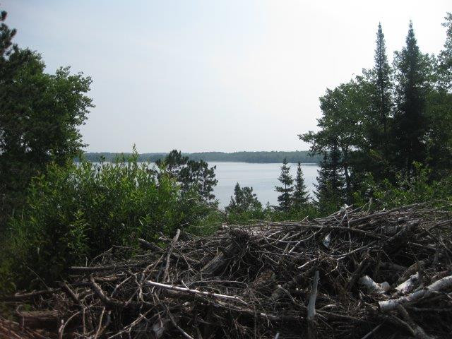 Vacant Waterfront Land in Fort Frances in Land for Sale in Kenora - Image 2