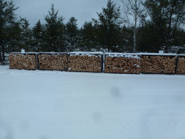 Oak and Maple Firewood ( ) in Other in Sudbury - Image 2