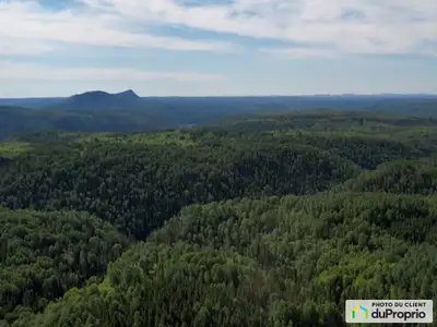 Très rare terrain de 342 acres sur 4 lots avec faune et flore authentique de la vallée de la Matapéd...