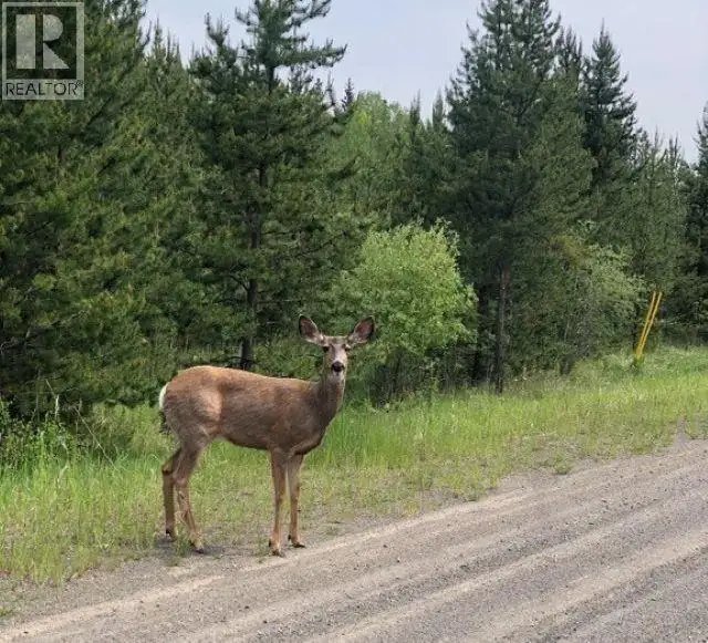 LOT 2 5916 LITTLE FORT 24 HIGHWAY Lone Butte, British Columbia in Land for Sale in 100 Mile House - Image 3
