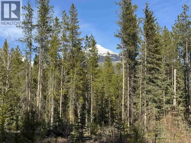 LOT A 3840 BRYAN ROAD Valemount, British Columbia in Land for Sale in Quesnel - Image 9