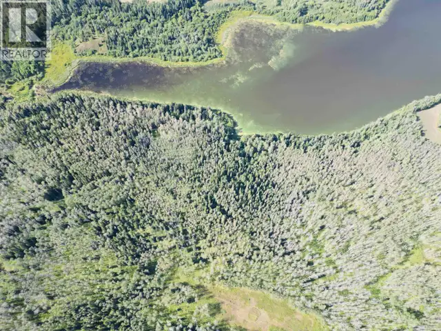 DL 941 SHAEFFER LAKE Burns Lake, British Columbia in Land for Sale in Burns Lake - Image 2