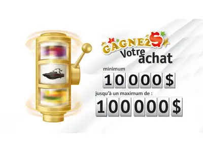 Quais de 6' X 15' incluant le recouvrement de cèdre amovible Caractéristiques Structure d?aluminium...