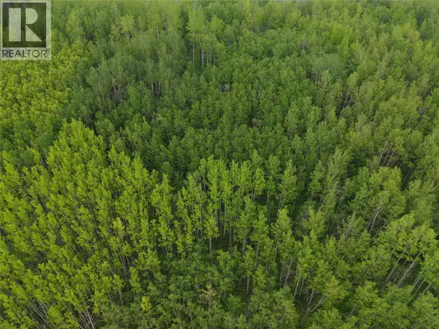 Lot 1 Kendrew Subdivision Pouce Coupe, British Columbia in Land for Sale in Dawson Creek - Image 9