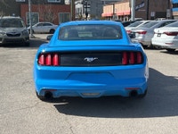 Double L Motors Ltd. 2017 Ford Mustang EcoBoost Power Meets Style! Experience the thrill of the open... (image 4)