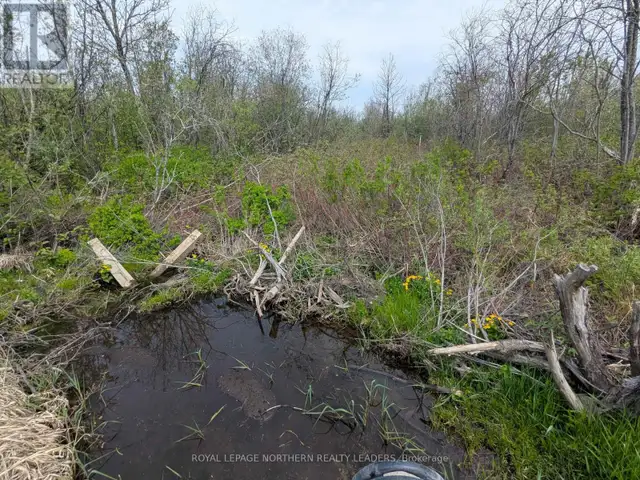 CON 2 N PT LOT 12 WHITNEY Timmins (SP - Connaught Hill), Ontario in Land for Sale in Timmins - Image 36