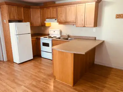 Bright and spacious 1-bedroom apartment in a clean, quiet, well-maintained building right in the hea...