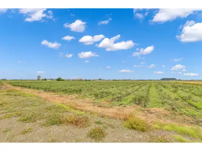 Rare Opportunity: 9.43 Acres with Two Homes and a Blueberry Farm! This outstanding property offers t...