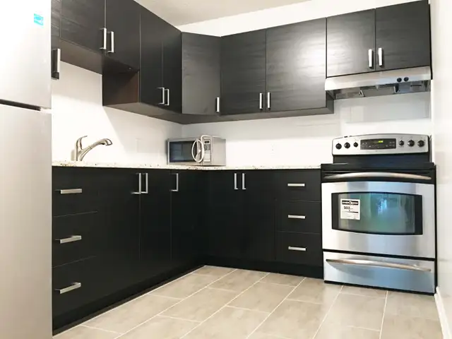 Close CU, AC 1-bdrm in 3-bdrm luxury condo for Jan in Room Rentals & Roommates in Ottawa - Image 5