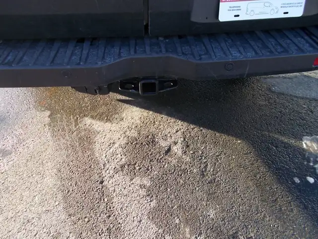 2020 Ford Transit Cargo Van T250 Low Roof in Cars & Trucks in Bedford - Image 7