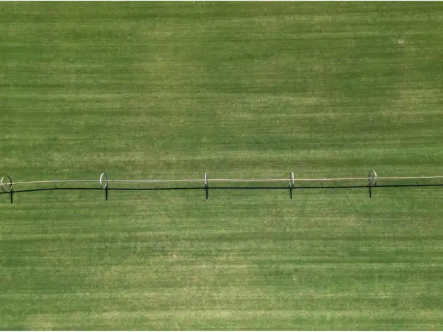 103AC HYDE BUKER ROAD Mission, British Columbia in Land for Sale in Chilliwack - Image 9