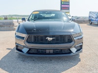 Come see this 2025 Ford Mustang I4CV before someone takes it home! *Get Your Money's Worth for this... (image 7)