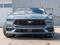 Prices excludes GST and cost/charges associated with financing.CARFAX Link:https://vhr.carfax.ca/?id... (image 1)