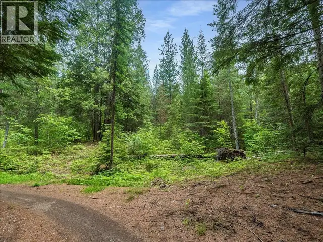 Claybrick Road Lot# 15 Winlaw, British Columbia in Land for Sale in Nelson - Image 4