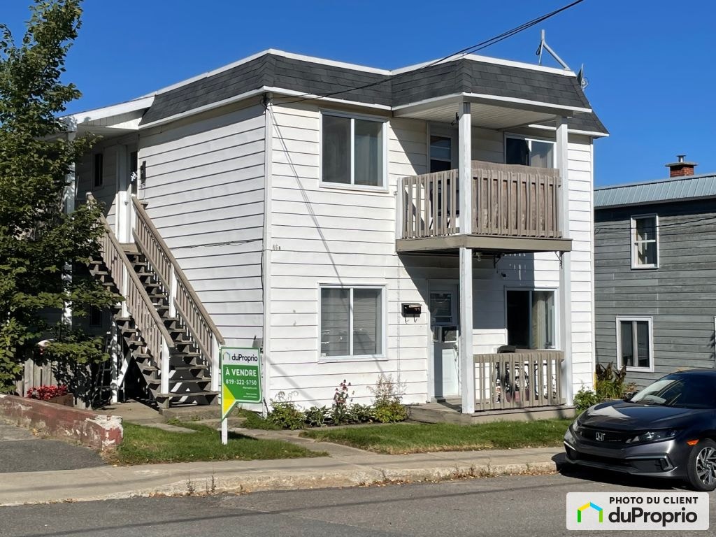$375,000 - Triplex for sale in Ste-Agathe-Des-Monts — photo 1