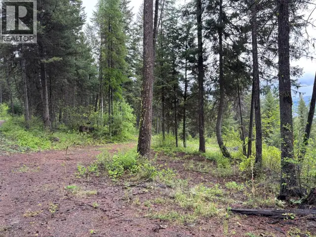 Lot 2 Hulme Creek Road Rock Creek, British Columbia in Land for Sale in Penticton - Image 3