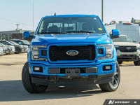 Leather Seats, Cooled Seats, Aluminum Wheels, Apple CarPlay, Android Auto, Ford Co-Pilot360, Dynamic... (image 1)