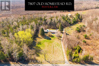 7807 OLD HOMESTEAD RD Georgina, Ontario