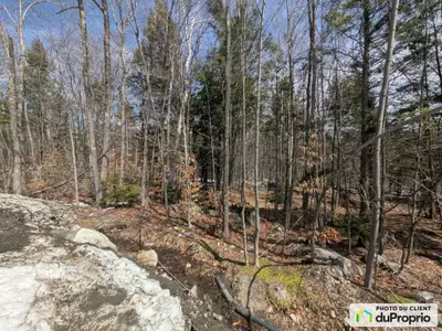 Terrain boisé de 100 000 pieds2 - Un coin de paradis à Sainte-Julienne. Offrez-vous un véritable hav...