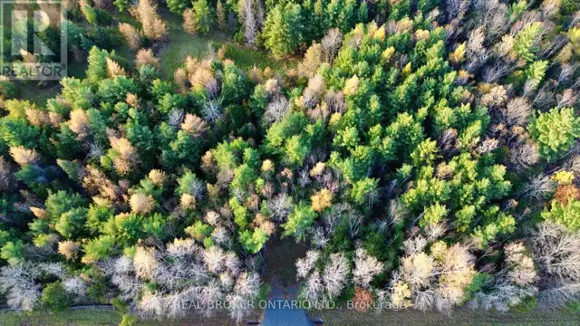 LOT 2 WATSONS CORNERS ROAD Lanark Highlands, Ontario in Land for Sale in Kingston - Image 10