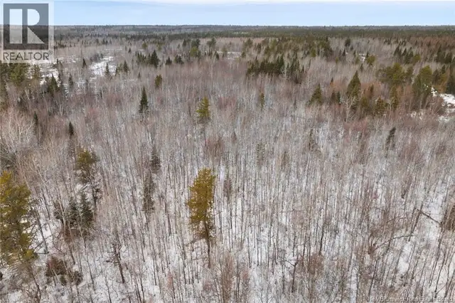 Lots 25-1 & 25-3 Cumberland Bay North Road Cumberland Bay, New B in Land for Sale in Saskatoon - Image 14