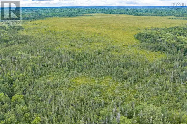 TBD Canada Hill Road Allendale, Nova Scotia in Land for Sale in Yarmouth - Image 22