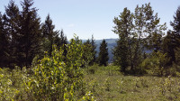240 ACRES WITH PANORAMIC VIEWS...!