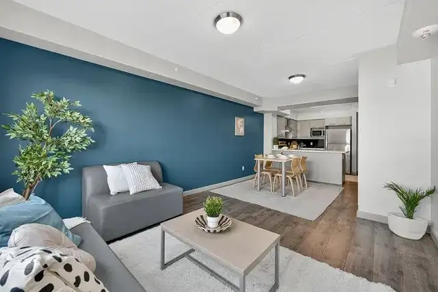 Everything Students Need, All in One Place — NOW ONE MONTH FREE! in Long Term Rentals in Kitchener / Waterloo - Image 5