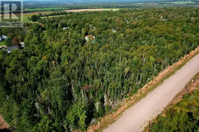 Welcome to Withers Place Subdivision. Here is a great opportunity to own 1 acre building lot(s) in D...