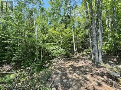 Here's an opportunity to own a nice 20,000 sq. ft lot in the Molega Lake area! This lot has road fro...