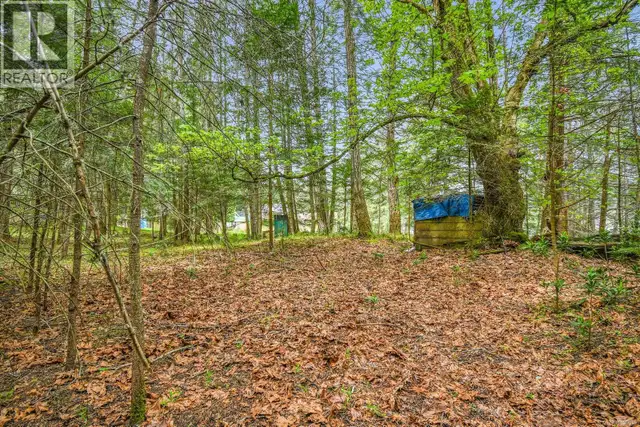 Lot 7 Driftwood Dr Mudge Island, British Columbia in Land for Sale in St. John's - Image 31