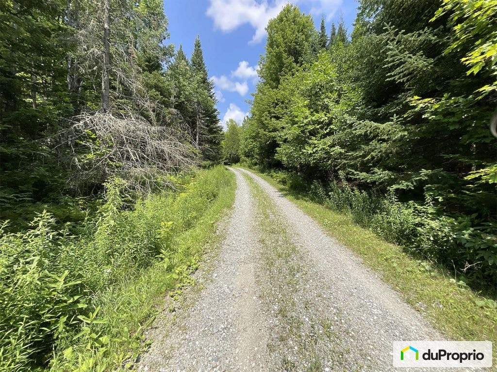 11e Rang — photo 2