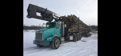 Loads of logs for sale for firewood or milling. Birch, spruce, and sometimes tamarack available. Pri...