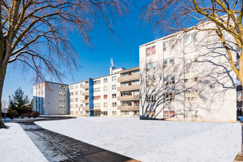 Midland Complex 1 Bedroom, 1 Bathroom Apartment for Rent Long Term