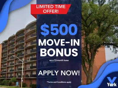 One Bedroom Apartment on Tecumseh Road across from Jackson Park