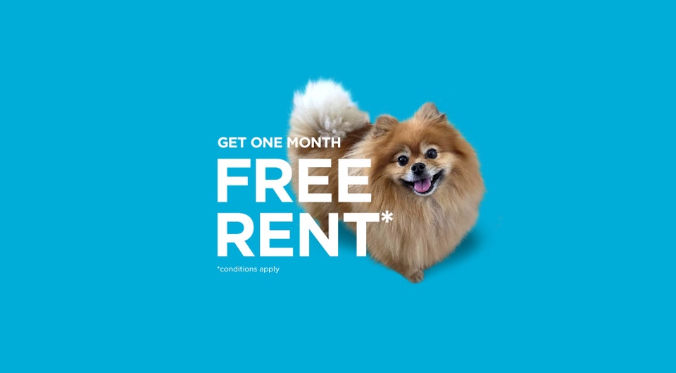 Pet-Friendly Three Bedroom Two Bath with In-suite Laundry for Re 1