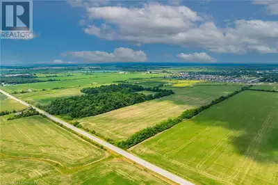 “ATTENTION” - DEVELOPERS, INVESTORS, SPECULATORS or EXPANDING CASH CROP FARMERS - check out this div...