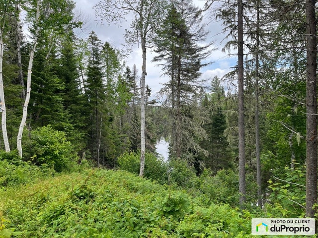 $125,000 - Residential Lot for sale in Péribonka — photo 1