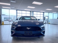 ===== Key Features ===== * Only 4,499 km * One Owner * No Reported Accidents * 5.0L Ti-VCT V8 Engine... (image 5)