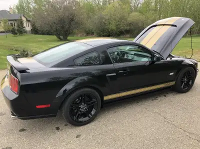 20,000 miles Vegas car only 500 produced in 2006 this car also has the Paxton Shelby centrifigul sup...