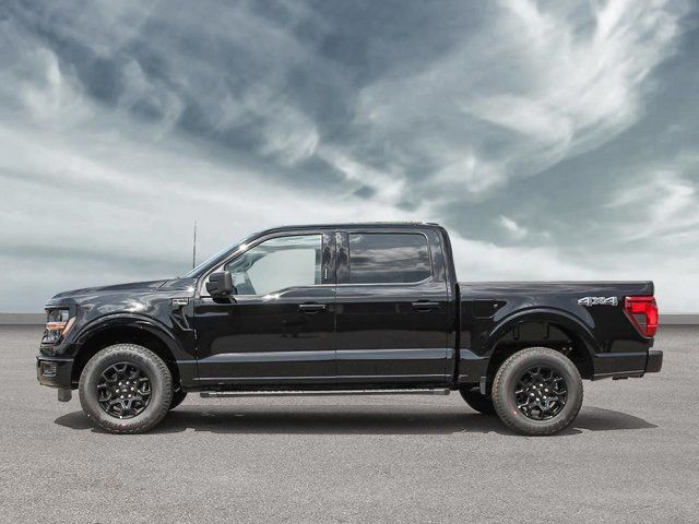 2025 Ford F-150 XLT in Cars & Trucks in Winnipeg - Image 3