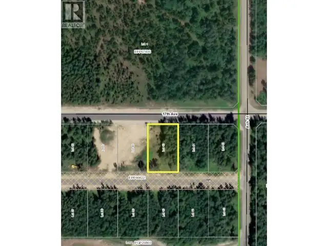 1030 18TH AVENUE Valemount, British Columbia in Land for Sale in Quesnel - Image 8
