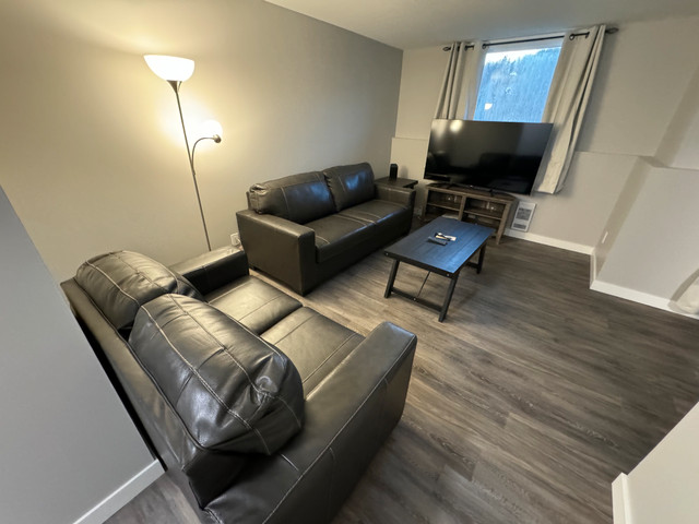 Beautifully Renovated 2 Bedroom, 1 Bathroom Apt in Schreiber dans Locations longue durée  à Thunder Bay - Image 3