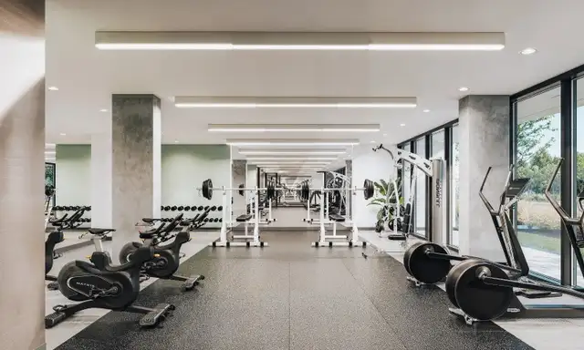 4.5 condo appartement neuf locatif Ville-Marie-Jacques in Long Term Rentals in City of Montréal - Image 12