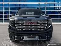 Onyx Black 2023 GMC Sierra 1500 Denali 4WD 10-Speed Automatic EcoTec3 5.3L V8 Come And Experience Wh... (image 8)