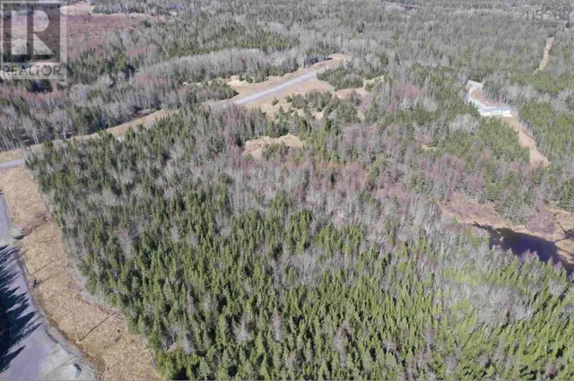 Lot 16 - Lower River Road Grantville, Nova Scotia in Land for Sale in Cape Breton - Image 7