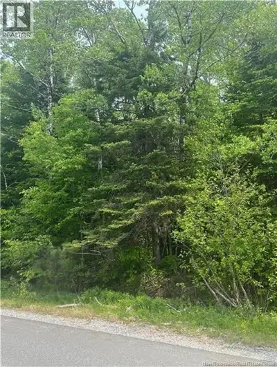 Private treed building lot! Perfect spot for four wheeling, fishing, hunting etc. yet on 10 minutes...