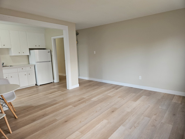 1 Bedroom Lower Suite @ 370 Belgrave Ave in Long Term Rentals in London - Image 3