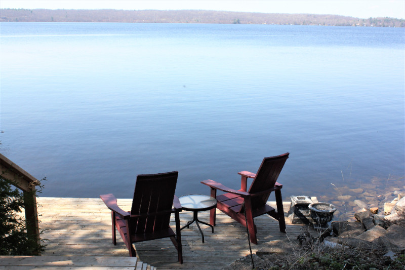 THIS IS WATERFRONT LIVING AT ITS FINEST—Crowe Lake Houses for Sale
